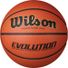 Wilson Evolution Basketball