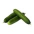 Organic Persian (Armenian) Cucumber