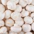White Mushroom