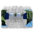 ICE MOUNTAIN Natural Spring Water