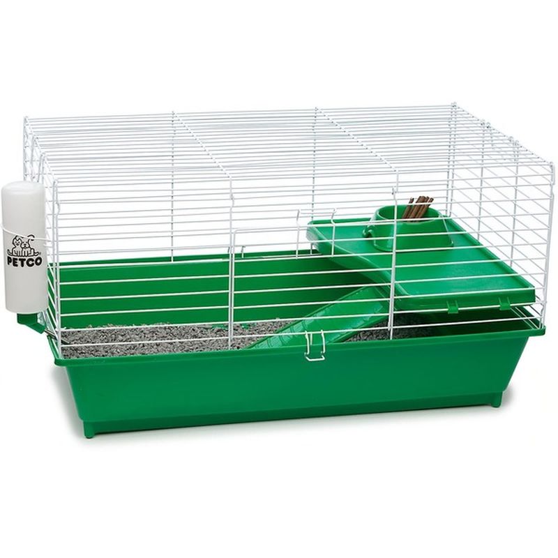 kaytee guinea pig starter kit