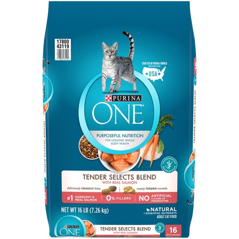 Purina ONE Natural Dry Cat Food, Tender Selects Blend With Real Salmon ...