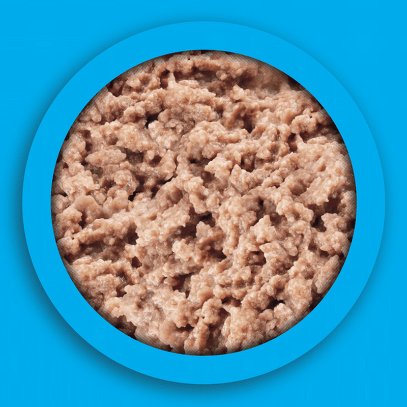 mighty dog lamb and rice