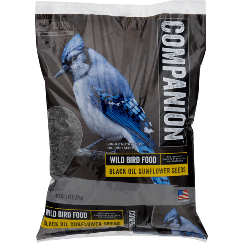 Companion Black Oil Sunflower Seeds Wild Bird Food (5 lb) from Stop