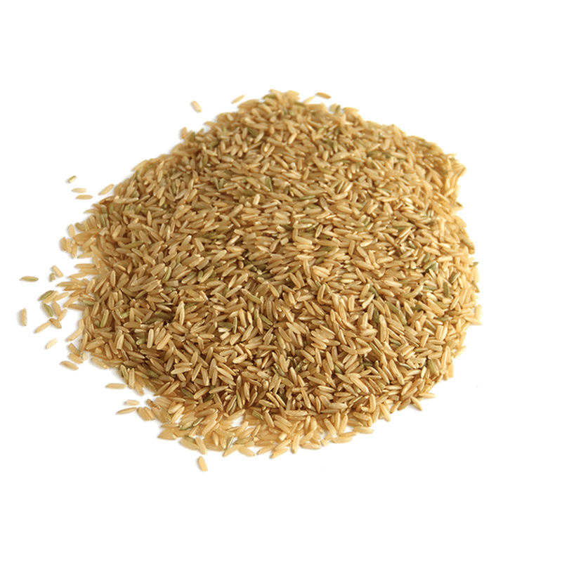 Lundberg Family Farms Organic Brown Basmati Rice