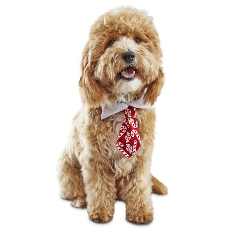 Large & Extra Large Holiday Plaid Necktie