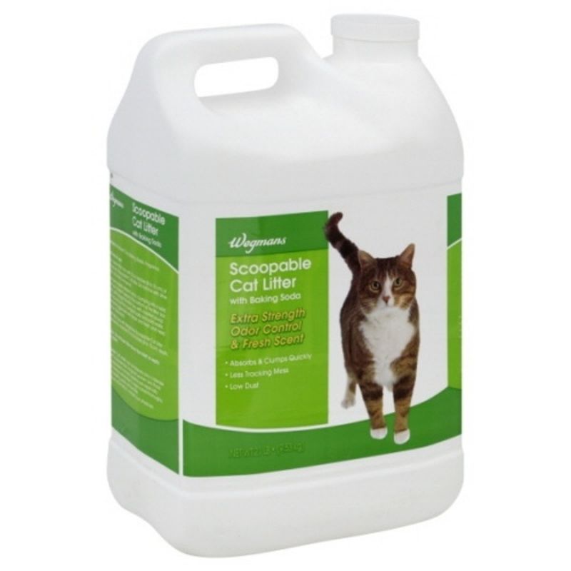 menards cat supplies