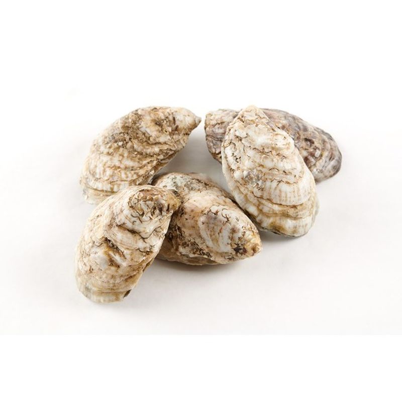 The Fresh Market Wild Atlantic Oysters (each) Instacart