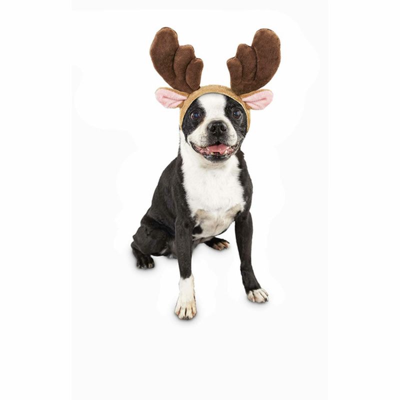 Extra Large & Large Holiday Antler Hdpce