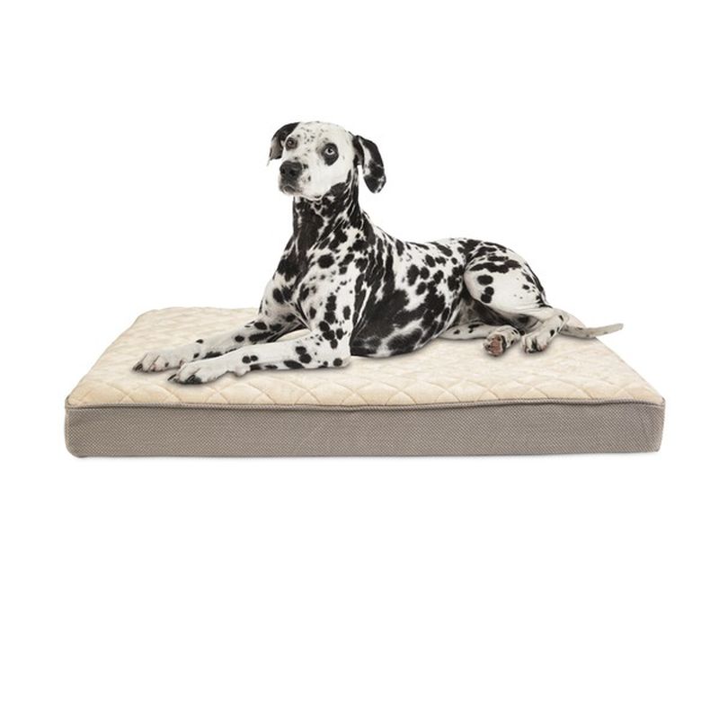 dr foster and smith dog beds
