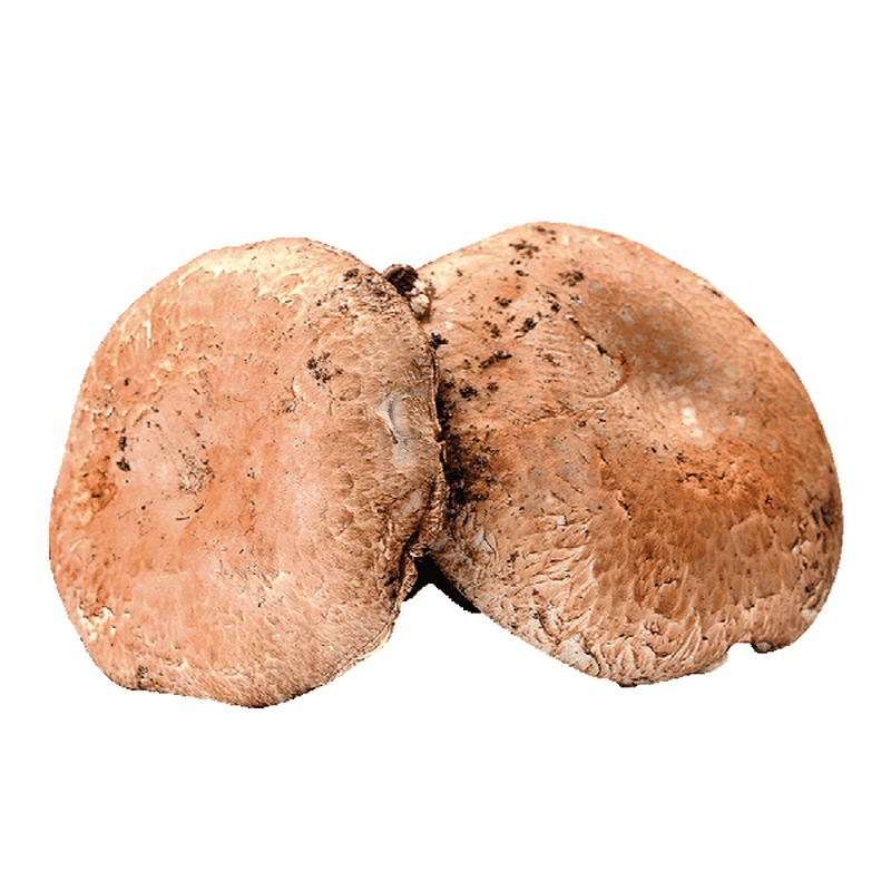 Dried Portabello Mushrooms