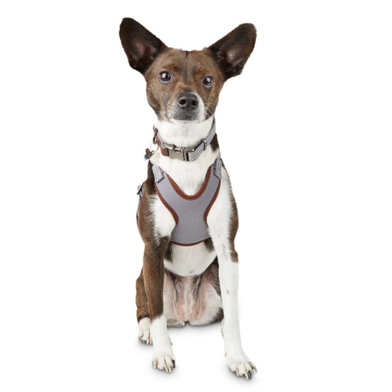 Reddy Petco Easy Step In Harness Reddy Petco Adjustable Mesh