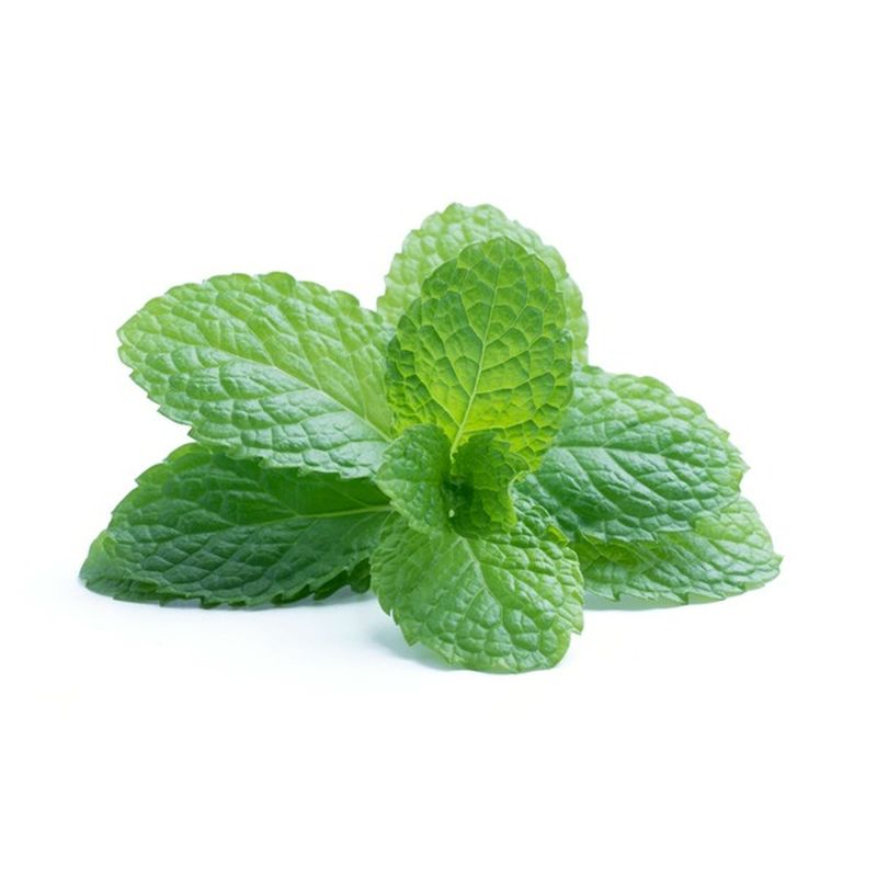 Lucinda's Organic Mint