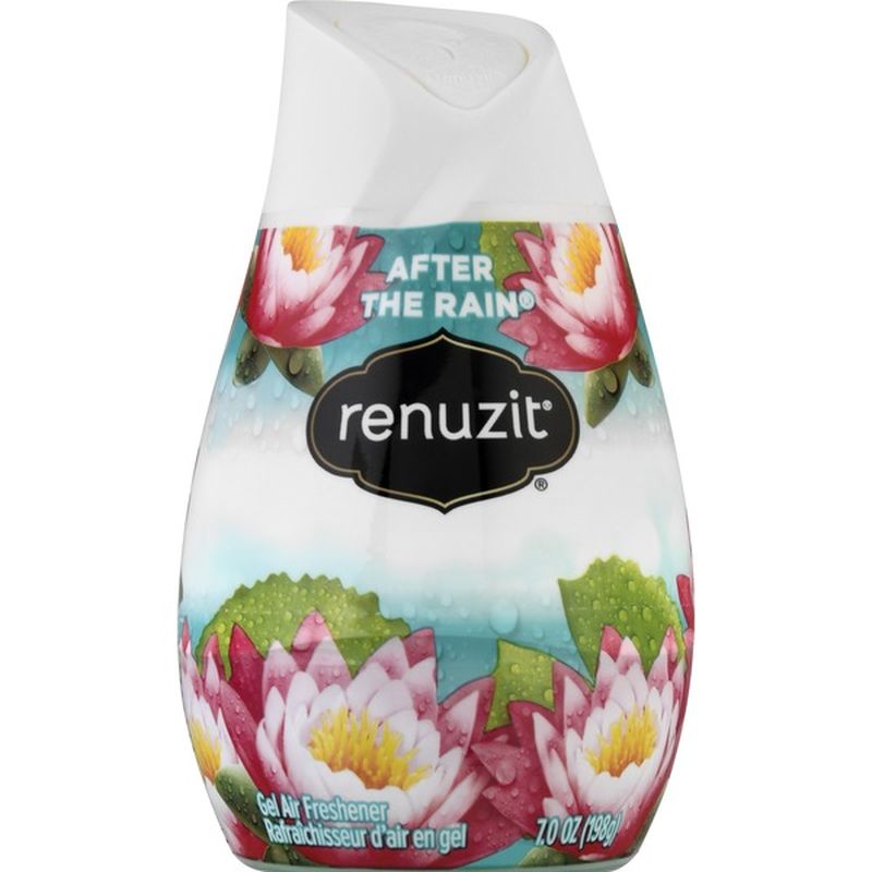 Renuzit Solid Gel Air Freshener Cone, After the Rain (7 oz) from Strack