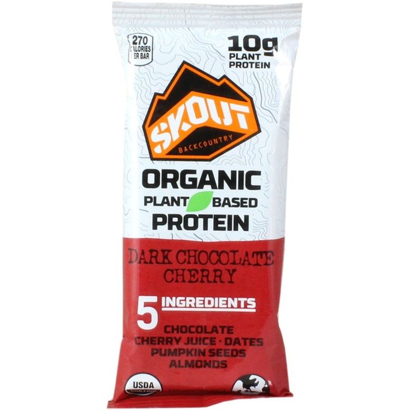 Skout Dark Chocolate Cherry Organic Protein Bar