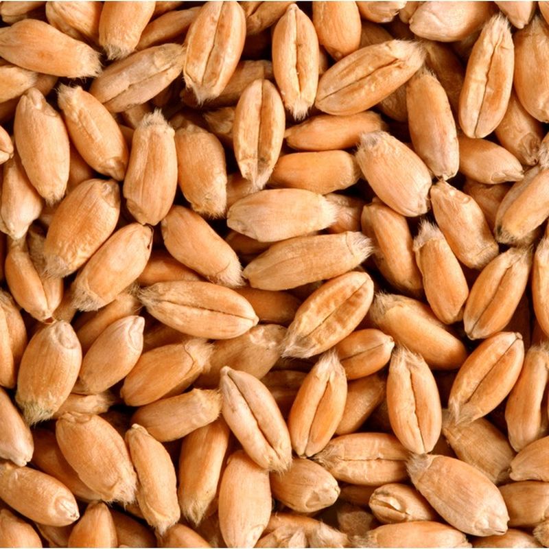 Organic Soft Wheat Berries (each) Instacart