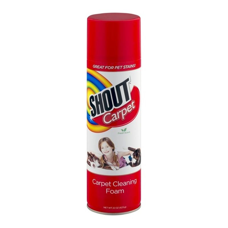 Shout Carpet Cleaning Foam (22 oz) Instacart