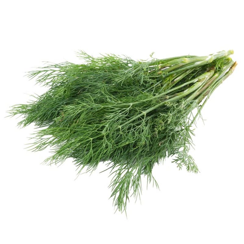 Organic Fennel Leaves (12 ct) Instacart