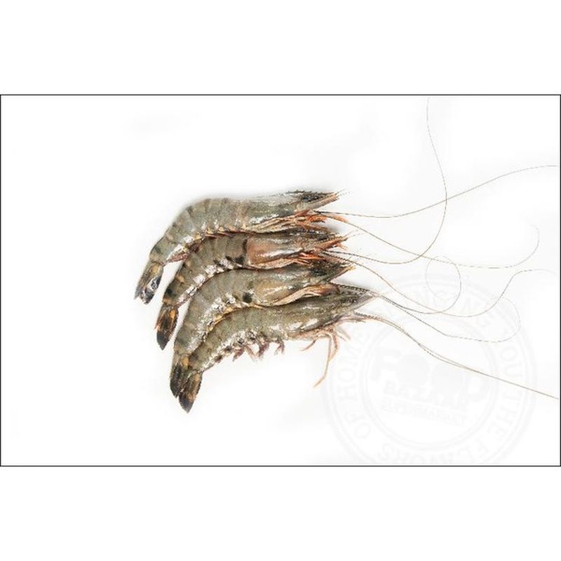 Extra Colossal U10 Tiger Shrimp Per Lb Instacart