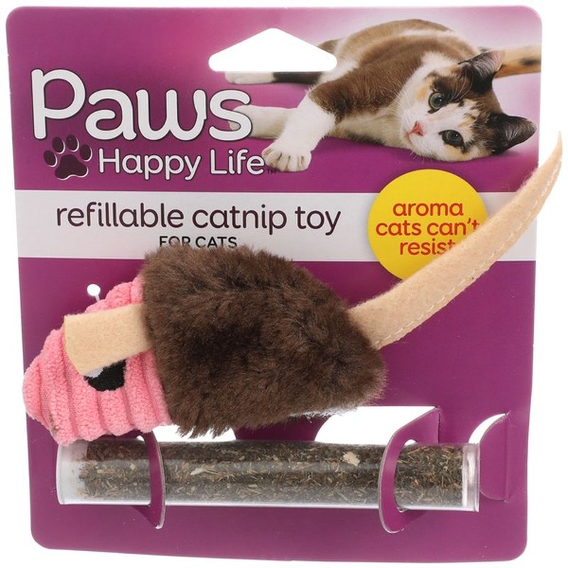 cat toy family