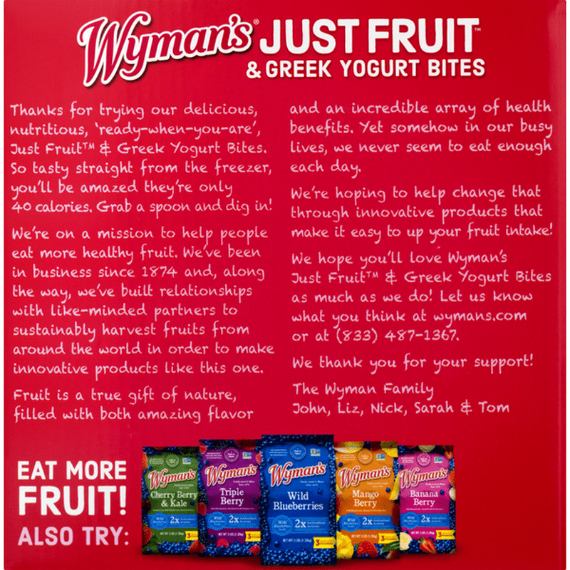 Wyman's Just Fruit & Greek Yogurt Bites (4 each) Delivery or Pickup Near Me Instacart