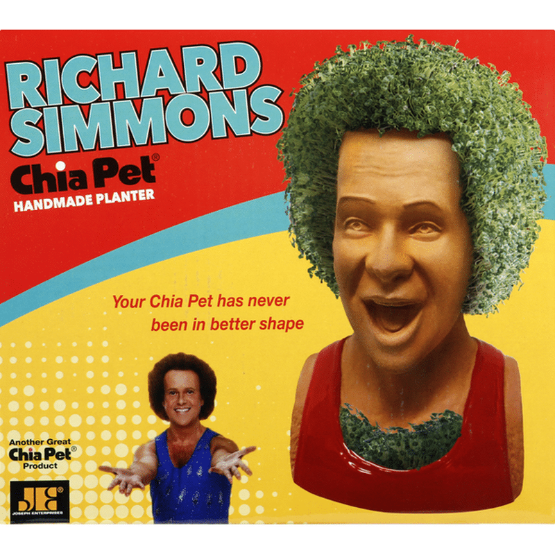 Chia Pet Planter, Richard Simmons, Handmade (1 each) - Instacart