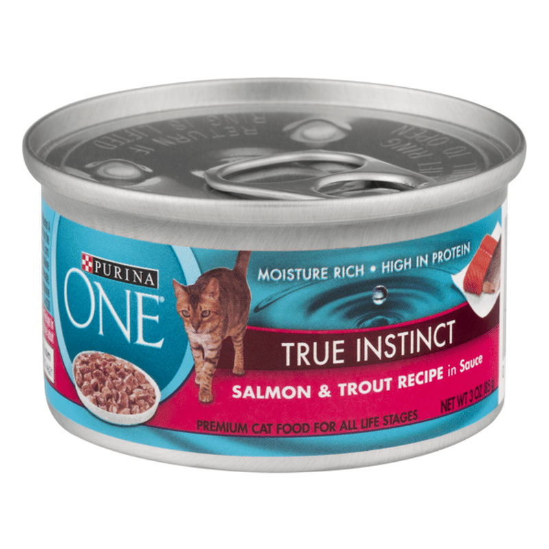 high protein cat food wet