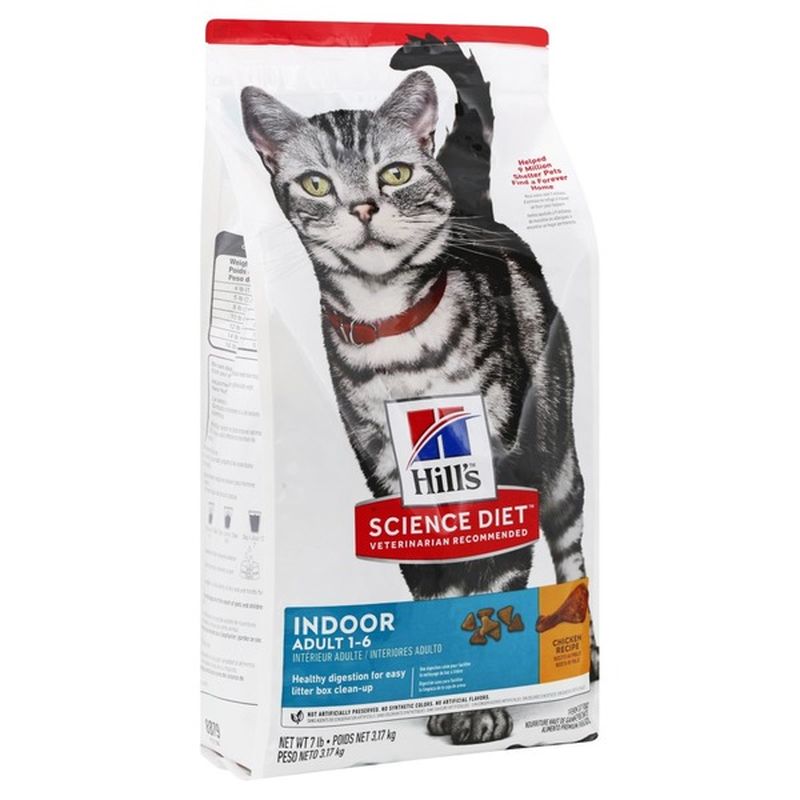 hills indoor cat