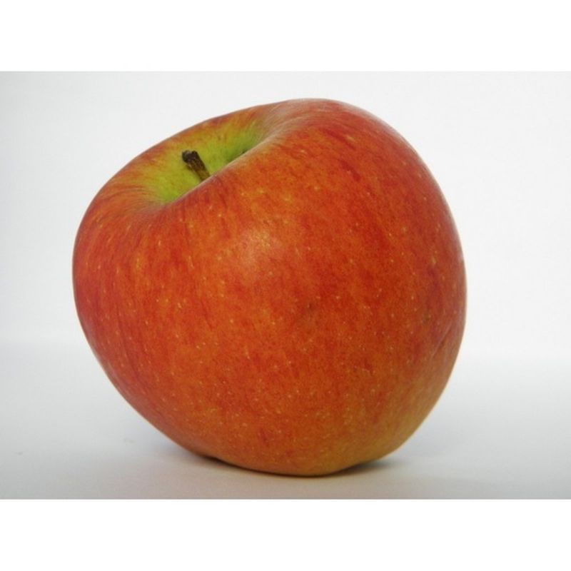 Organic Gravenstein Apple