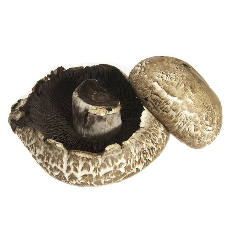 Portabella Mushroom