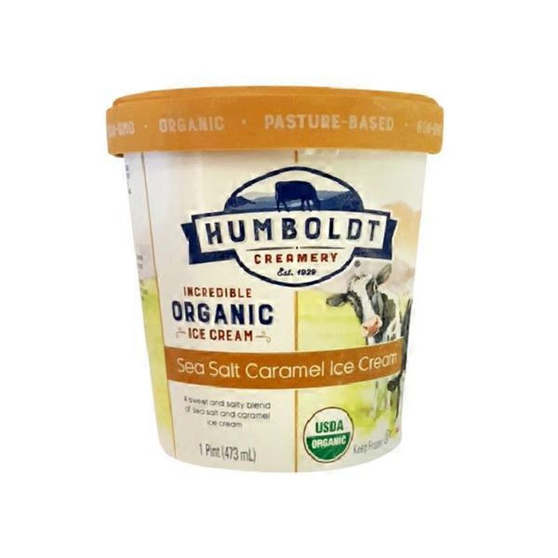 Humboldt Creamery Sea Salt Caramel Incredible Organic Ice Cream (16 oz