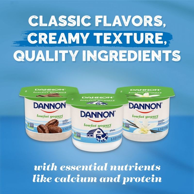 Dannon Classic Blended All Natural Coffee Lowfat Yogurt (5.3 oz