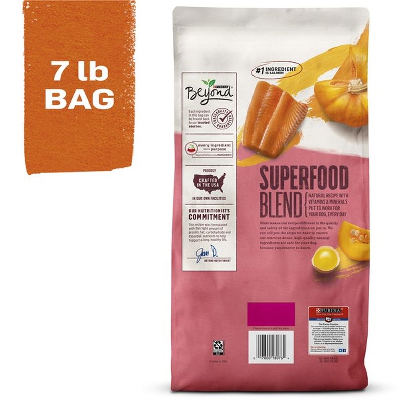 purina beyond salmon egg and pumpkin