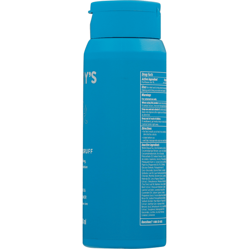 Harry's Shampoo & Conditioner, 2 in 1, AntiDandruff (14 fl oz) Instacart