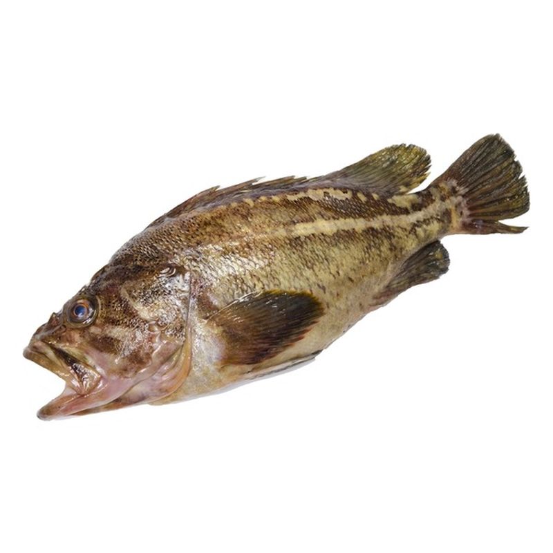 Whole Rougheye Rockfish (per lb) Instacart