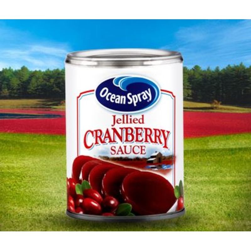 Ocean Spray Sauce Jellied Cranberry Sauce (14 oz) Instacart