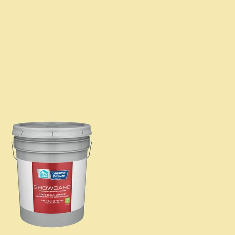 Hgtv Home By Sherwin Williams Showcase Semi Gloss Interior Paint Daisy Spell 5 Gal Instacart