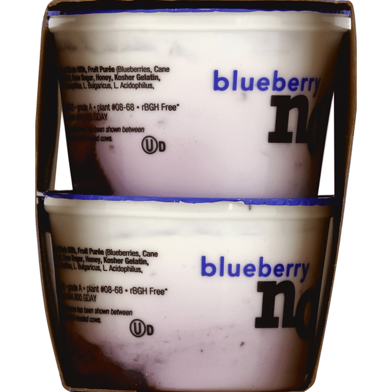 noosa Blueberry Yoghurt (4 oz) - Instacart