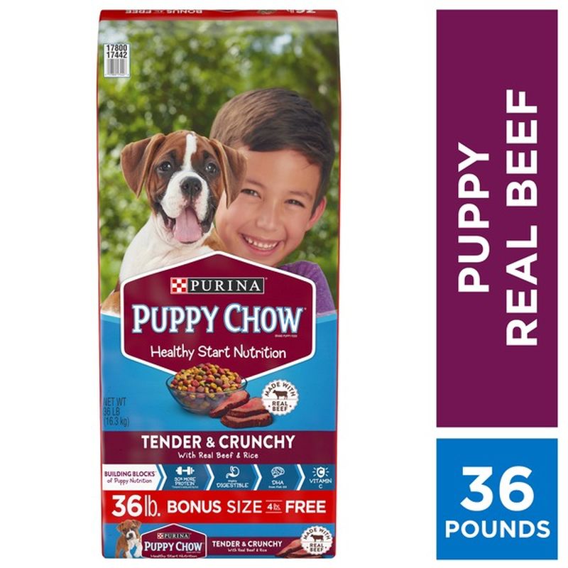 purina dog chow tender & crunchy with real lamb adult dry dog food