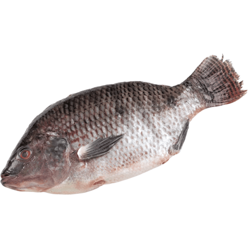 Fresh Whole Tilapia (per kg) Instacart