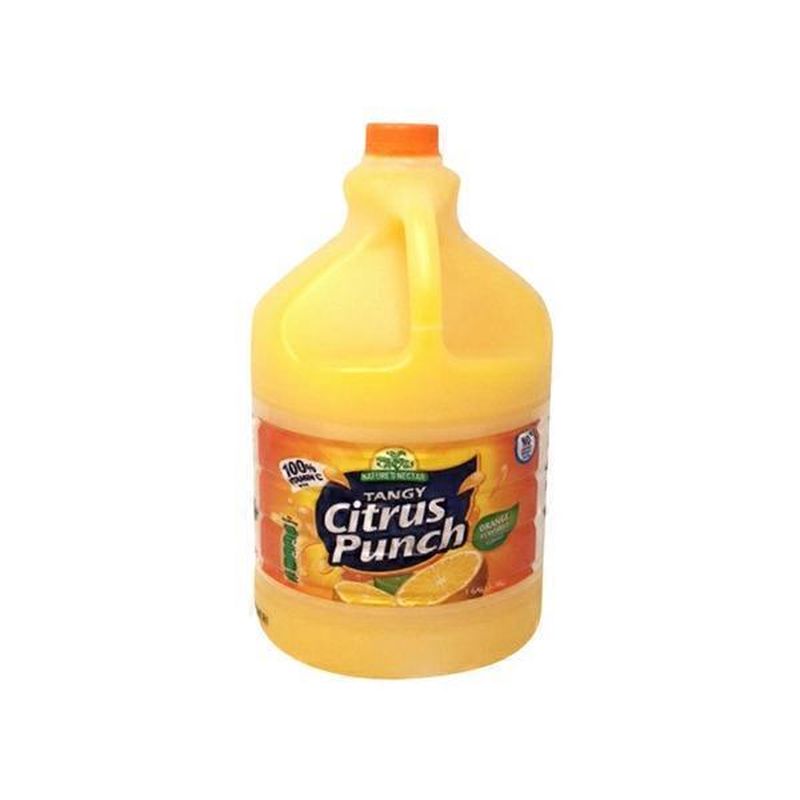 Nature's Nectar Orange Flavored Tangy Citrus Punch Juice (128 fl oz