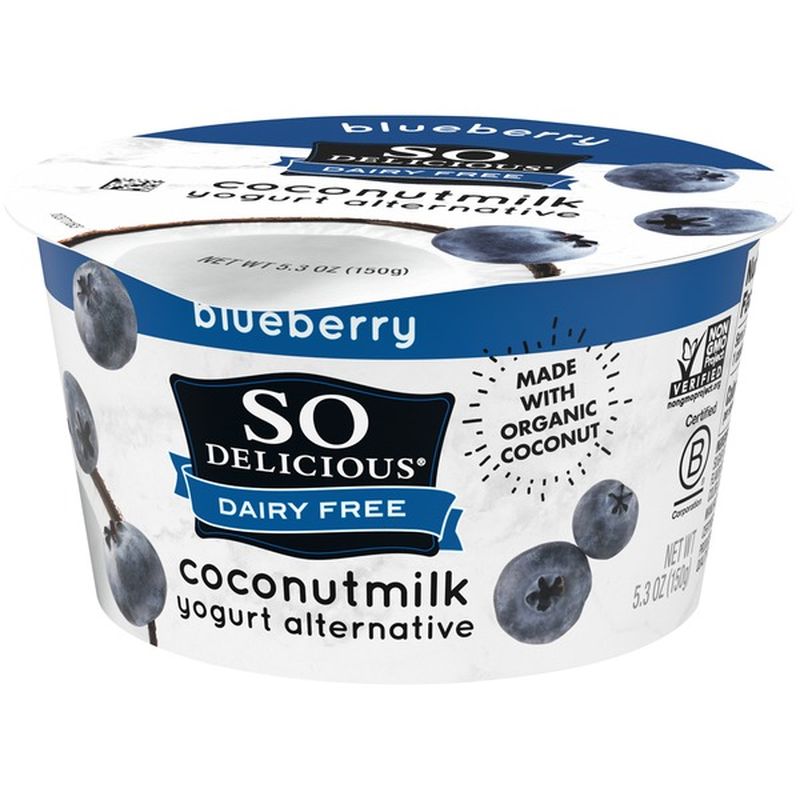 So Delicious Dairy Free Blueberry Coconutmilk Yogurt (5.3 oz) from Stop