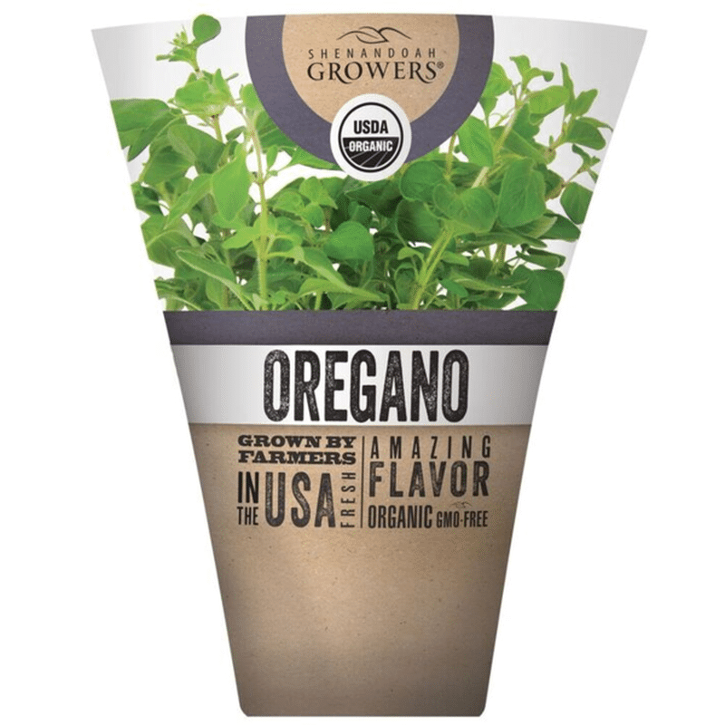 Organic Living Oregano