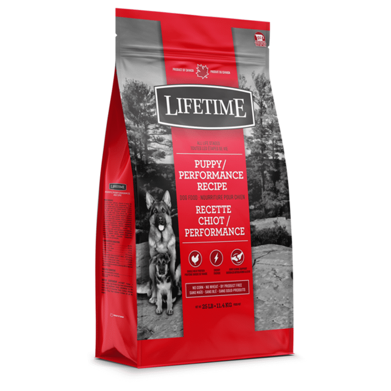 lifetime lamb and oatmeal dog food