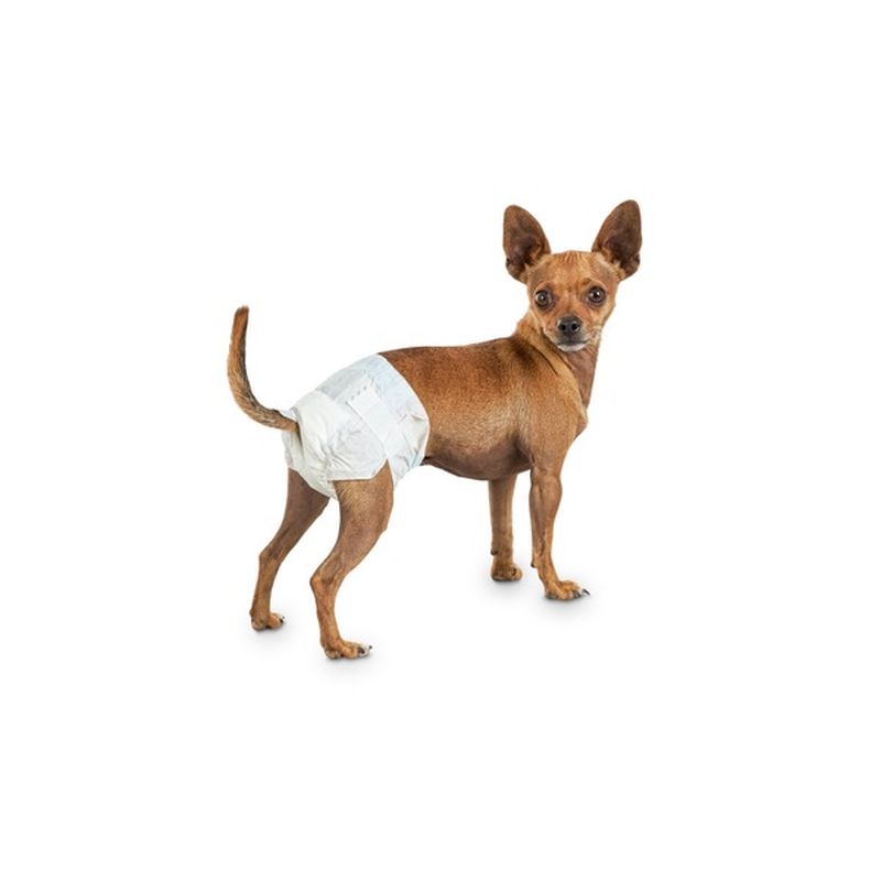 doggie diapers for small dogs