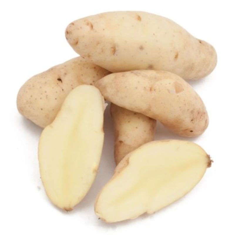 Klamath Basin Organic Russian Banana Fingerling Potatoes