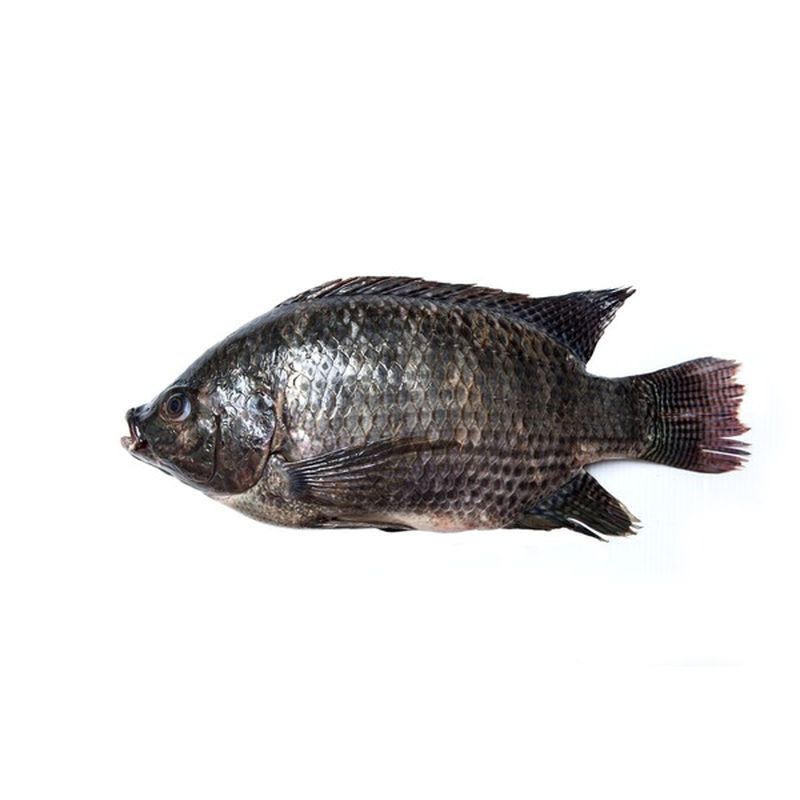 Whole Tilapia (1 lb) Instacart