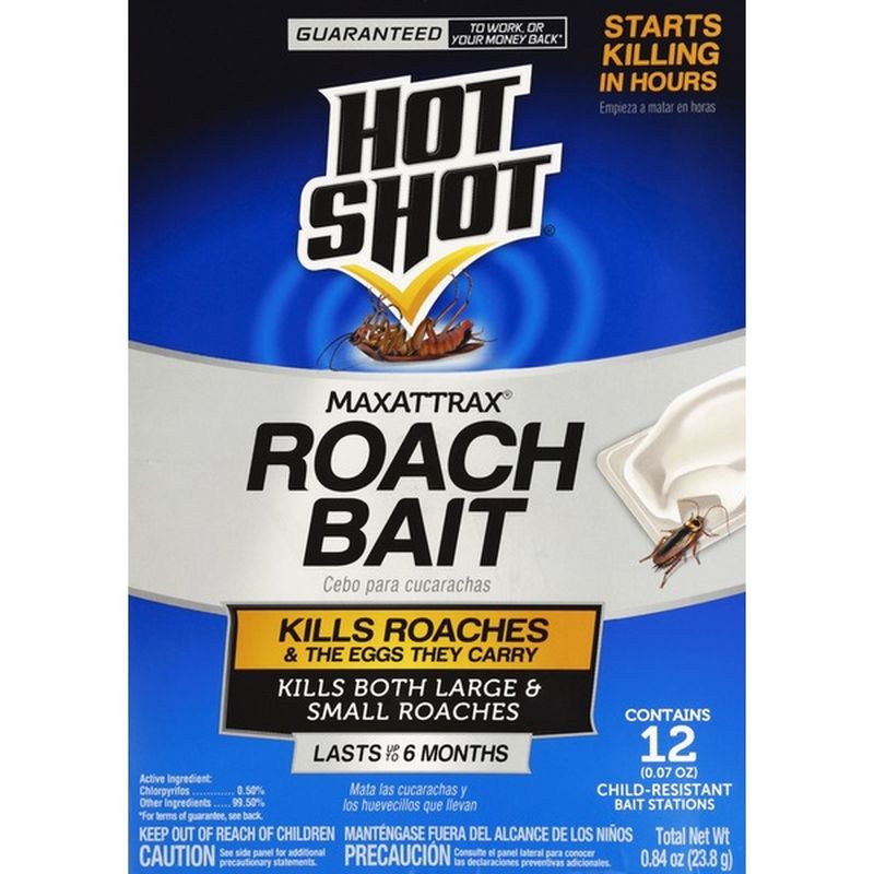 hot shot ant bait dog