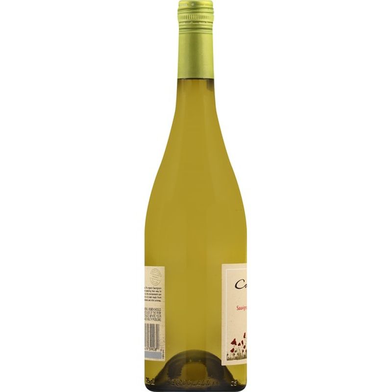 Cono Sur Sauvignon Blanc Valle De San Antonio Chile 2019 750 Ml Instacart