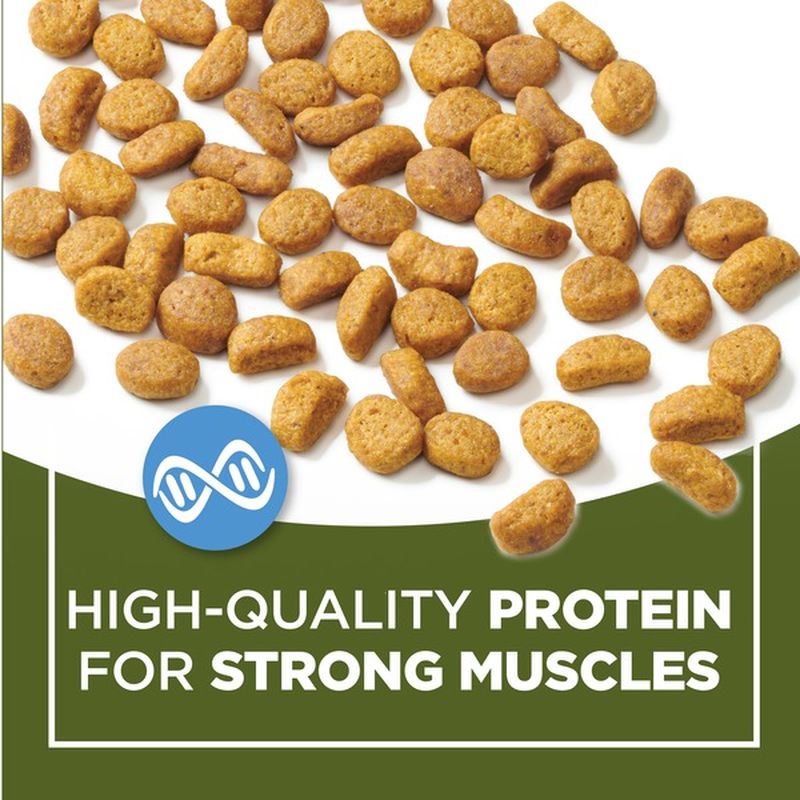 purina naturals original cat food